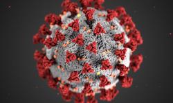 COVID-19 virus medical image